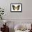 Golden Butterfly IV-Julia Bosco-Framed Art Print displayed on a wall