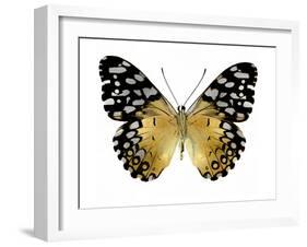 Golden Butterfly IV-Julia Bosco-Framed Art Print