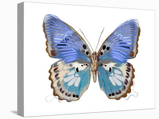 Golden Butterfly V-Julia Bosco-Stretched Canvas