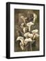 Golden Calla Lilies-Linda Thompson-Framed Giclee Print