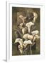 Golden Calla Lilies-Linda Thompson-Framed Giclee Print