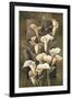 Golden Calla Lilies-Linda Thompson-Framed Giclee Print