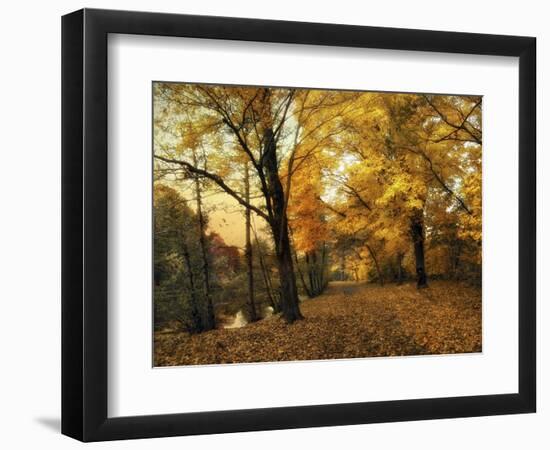 Golden Canopy-Jessica Jenney-Framed Giclee Print