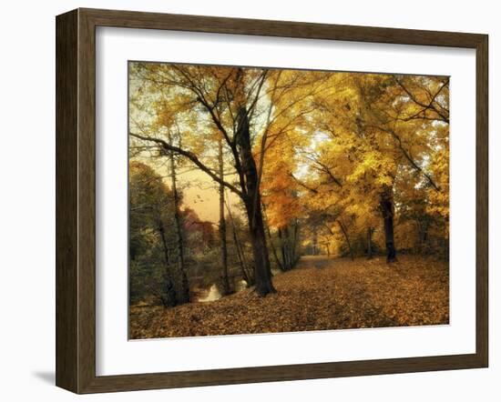 Golden Canopy-Jessica Jenney-Framed Giclee Print