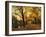 Golden Canopy-Jessica Jenney-Framed Giclee Print