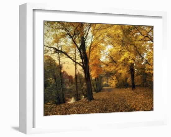 Golden Canopy-Jessica Jenney-Framed Giclee Print