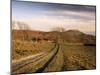 Golden Cap, Dorset, England, United Kingdom-Michael Busselle-Mounted Photographic Print