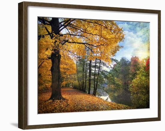 Golden Carpet-Jessica Jenney-Framed Photographic Print