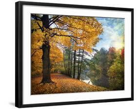 Golden Carpet-Jessica Jenney-Framed Photographic Print