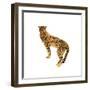 Golden Cheetah I-Annie Warren-Framed Art Print