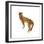 Golden Cheetah I-Annie Warren-Framed Art Print