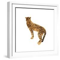 Golden Cheetah I-Annie Warren-Framed Art Print