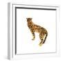 Golden Cheetah I-Annie Warren-Framed Art Print