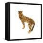 Golden Cheetah I-Annie Warren-Framed Stretched Canvas