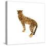 Golden Cheetah I-Annie Warren-Stretched Canvas