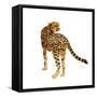 Golden Cheetah II-Annie Warren-Framed Stretched Canvas