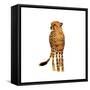 Golden Cheetah III-Annie Warren-Framed Stretched Canvas