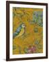 Golden Chinoiserie II-Chariklia Zarris-Framed Art Print