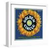 Golden Circle, RCFA-null-Framed Art Print