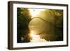 Golden Circle-Stefan Hefele-Framed Giclee Print