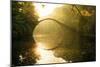 Golden Circle-Stefan Hefele-Mounted Giclee Print