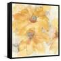 Golden Clematis I-Chris Paschke-Framed Stretched Canvas