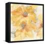 Golden Clematis I-Chris Paschke-Framed Stretched Canvas