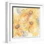 Golden Clematis II-Chris Paschke-Framed Art Print