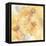 Golden Clematis II-Chris Paschke-Framed Stretched Canvas