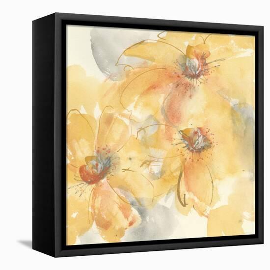 Golden Clematis II-Chris Paschke-Framed Stretched Canvas