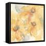 Golden Clematis II-Chris Paschke-Framed Stretched Canvas