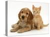 Golden Cocker Spaniel Puppy with Ginger Kitten-Jane Burton-Stretched Canvas