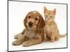 Golden Cocker Spaniel Puppy with Ginger Kitten-Jane Burton-Mounted Premium Photographic Print