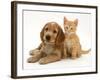 Golden Cocker Spaniel Puppy with Ginger Kitten-Jane Burton-Framed Photographic Print