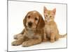 Golden Cocker Spaniel Puppy with Ginger Kitten-Jane Burton-Mounted Photographic Print