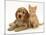 Golden Cocker Spaniel Puppy with Ginger Kitten-Jane Burton-Mounted Photographic Print