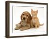 Golden Cocker Spaniel Puppy with Ginger Kitten-Jane Burton-Framed Photographic Print