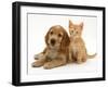 Golden Cocker Spaniel Puppy with Ginger Kitten-Jane Burton-Framed Photographic Print