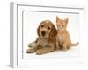 Golden Cocker Spaniel Puppy with Ginger Kitten-Jane Burton-Framed Photographic Print