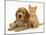 Golden Cocker Spaniel Puppy with Ginger Kitten-Jane Burton-Mounted Photographic Print