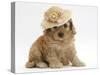 Golden Cockerpoo Puppy, 6 Weeks, Wearing a Straw Hat-Mark Taylor-Stretched Canvas