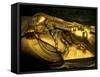 Golden Coffin of Tutahkhamun, Valley of the Kings, Egypt-Kenneth Garrett-Framed Stretched Canvas