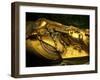 Golden Coffin of Tutahkhamun, Valley of the Kings, Egypt-Kenneth Garrett-Framed Premium Photographic Print