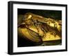 Golden Coffin of Tutahkhamun, Valley of the Kings, Egypt-Kenneth Garrett-Framed Premium Photographic Print