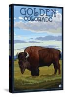 Golden, Colorado - Bison Scene-Lantern Press-Stretched Canvas