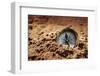 Golden Compass Buried in the Sand Concept for Lost or Direction-Flynt-Framed Photographic Print