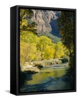 Golden Cottonwood Trees on Banks of the Virgin River, Zion National Park, Utah, USA-Ruth Tomlinson-Framed Stretched Canvas