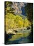 Golden Cottonwood Trees on Banks of the Virgin River, Zion National Park, Utah, USA-Ruth Tomlinson-Stretched Canvas