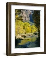 Golden Cottonwood Trees on Banks of the Virgin River, Zion National Park, Utah, USA-Ruth Tomlinson-Framed Photographic Print