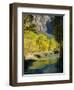 Golden Cottonwood Trees on Banks of the Virgin River, Zion National Park, Utah, USA-Ruth Tomlinson-Framed Photographic Print